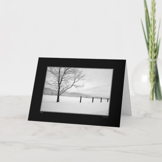Solitude Card (Front)