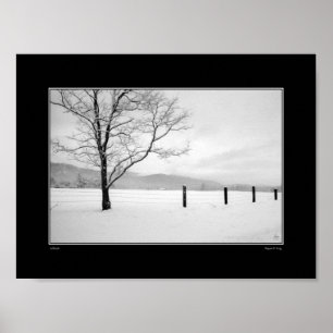 Solitude Card Poster