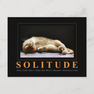 SOLITUDE Cat Photography Anti-Motivational Postcard