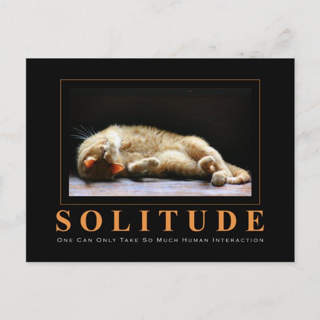SOLITUDE Cat Photography Anti-Motivational Postcard (Front)
