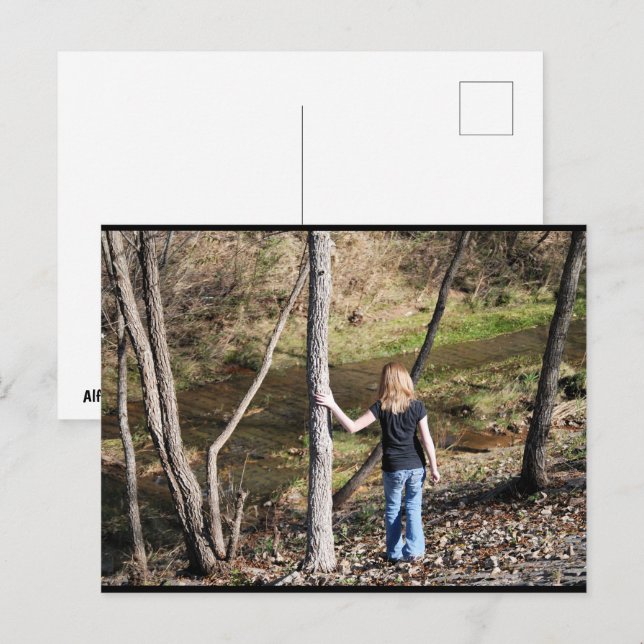 Solitude in the Trees Postcard (Front/Back)