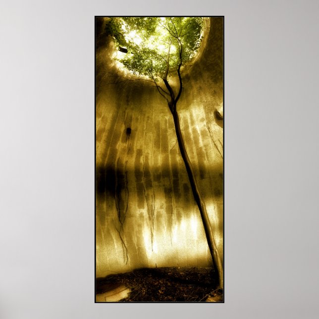 Solitude Poster (Front)
