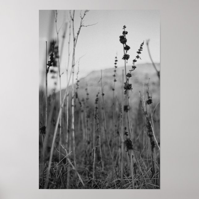 solitude poster (Front)