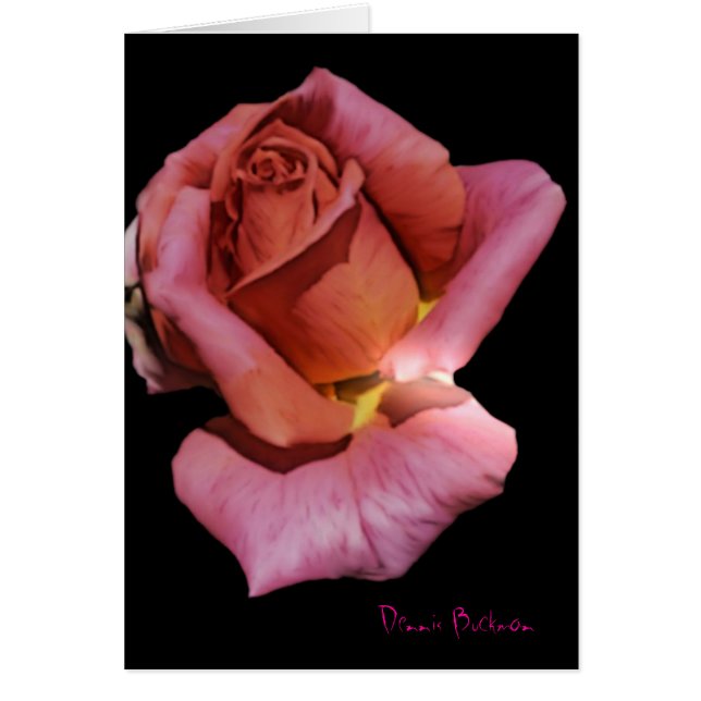 Solitude Rose (Front)