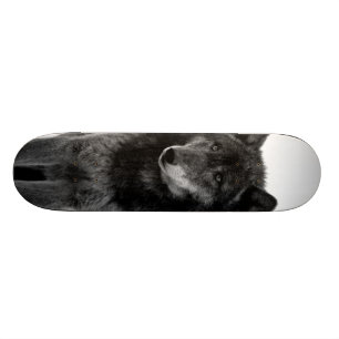 "Solitude" Skateboard