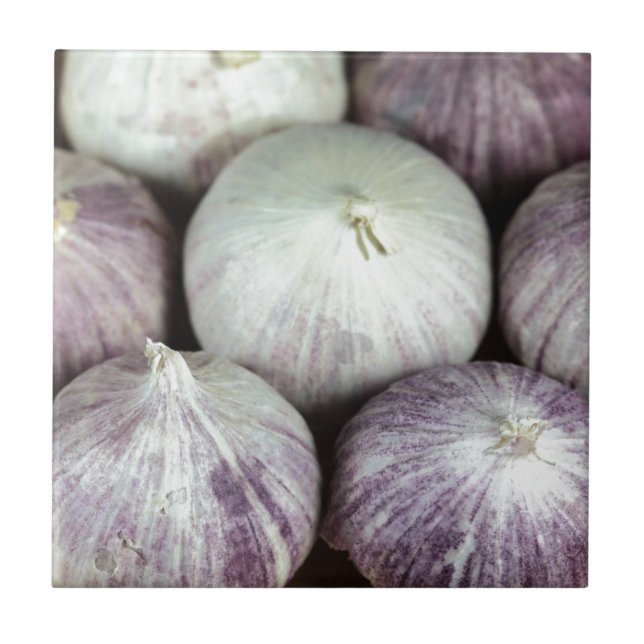 Solo Garlic Ceramic Tile (Front)