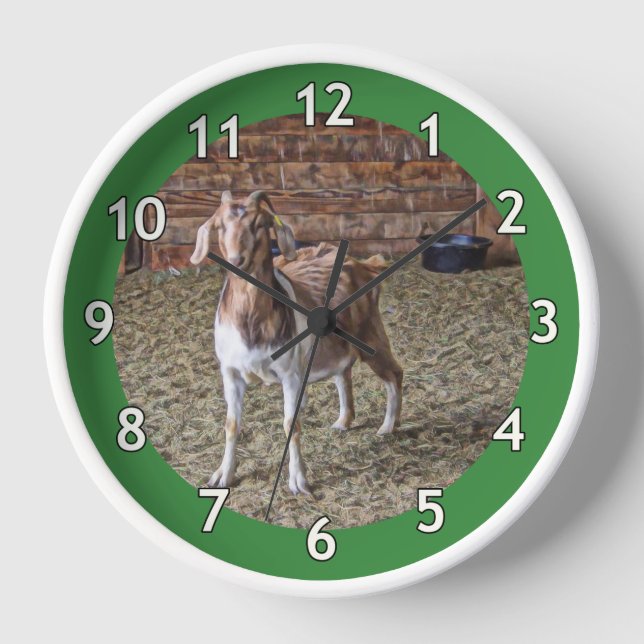 Solo Goat Kid Clock (Front)