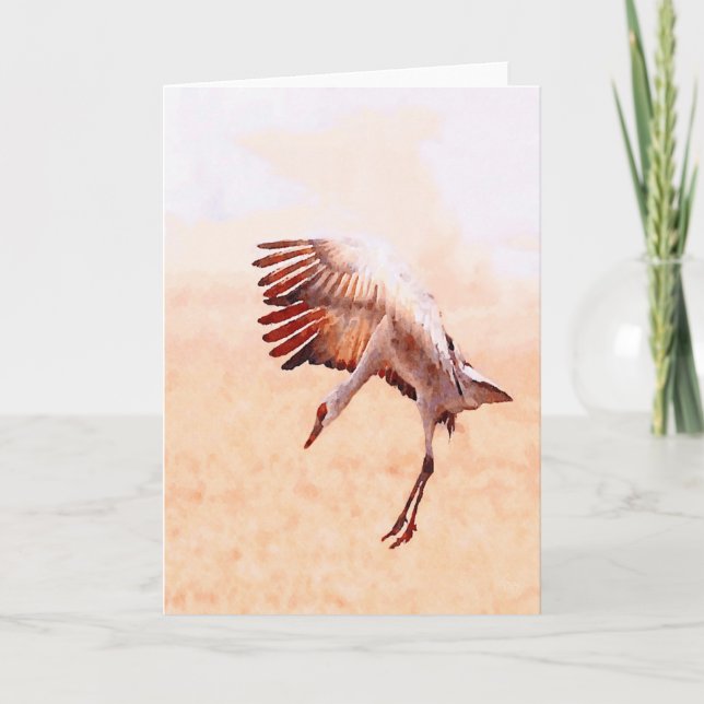 Solo Sandhill Crane Cards (Front)