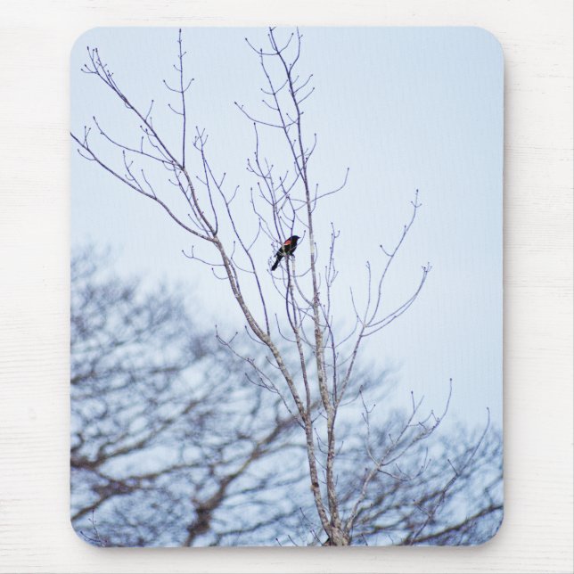 Soloist Mouse Pad (Front)