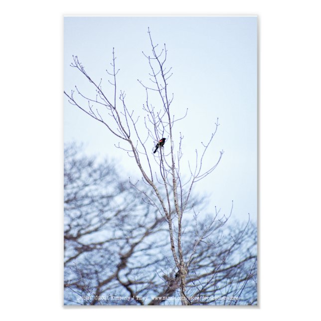 Soloist Photo Print (Front)