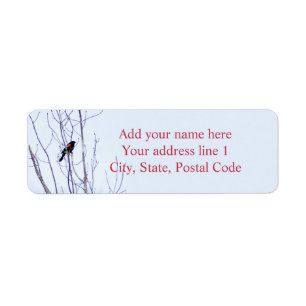 Soloist Return Address Label