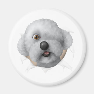 solomon chestburster magnet