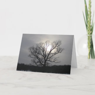 Solstice Sun I Happy Solstice Greeting Card