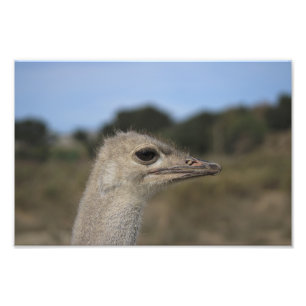 Solvang, CA Photo Print