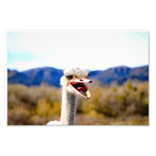 Solvang, CA Photo Print