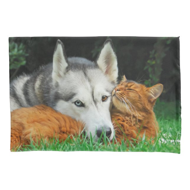 Somali cat and Siberian Husky cute friends cuddle Pillowcase (Front)