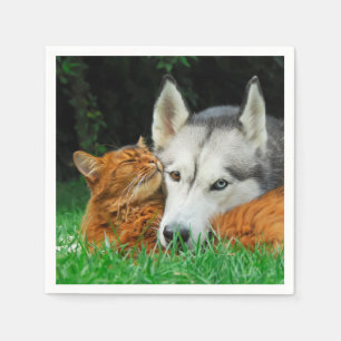 Somali Cat Siberian Husky Cute Friends Huddle Love Napkin