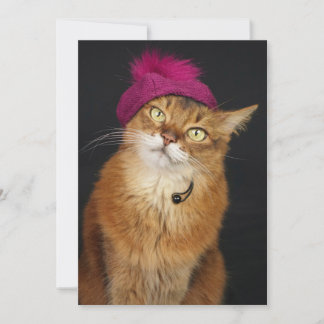 Somali Cat Wearing a Raspberry Beret Holiday Card
