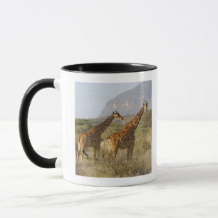 Somali Giraffe, Reticulated Giraffe, Giraffa Mug