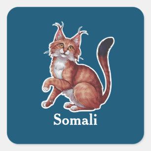 Somali Square Sticker