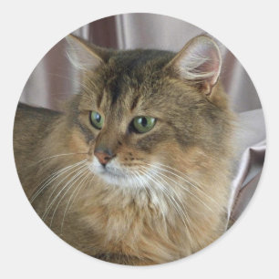 Somali, usual classic round sticker