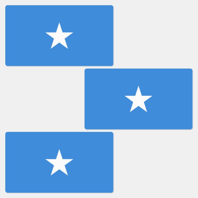 Somalia Flag (Group)
