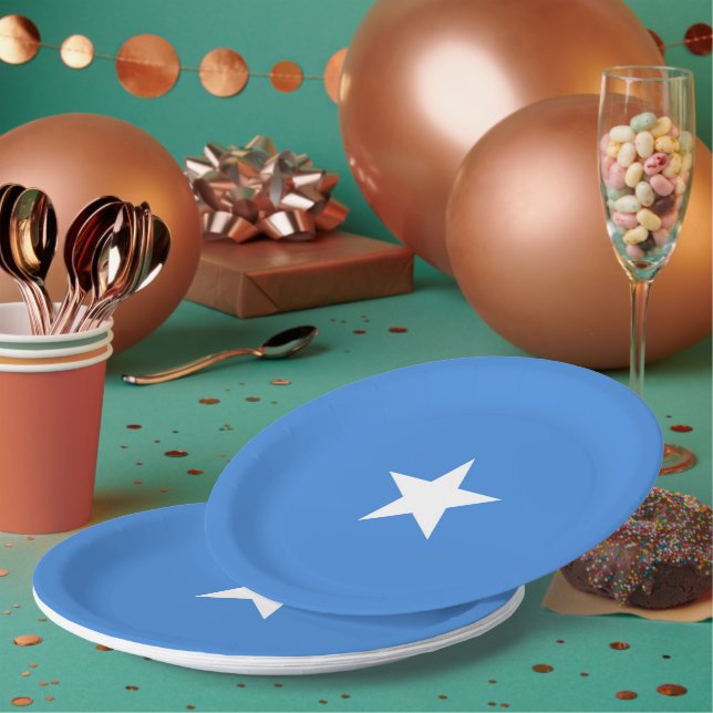 Somalia flag paper plate (Multi)