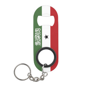 Somaliland flag