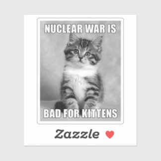 Sombre Kitten Portrait with a Darkly Honest Messag