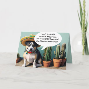 sombrero perro meme holiday card