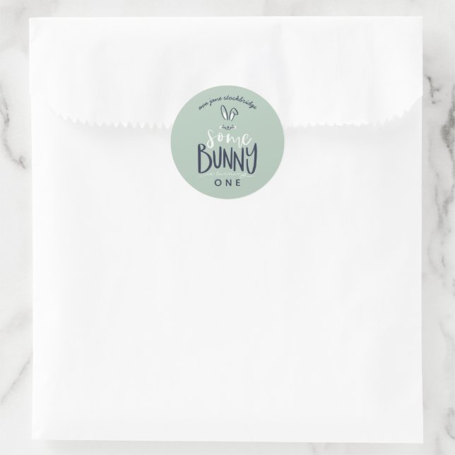 some bunny birthday party classic round sticker (Bag)