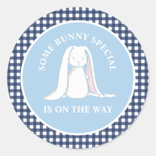 Some Bunny blue gingham baby shower Classic Round Sticker
