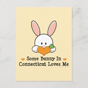 Some Bunny In Connecticut Loves Me Postcard