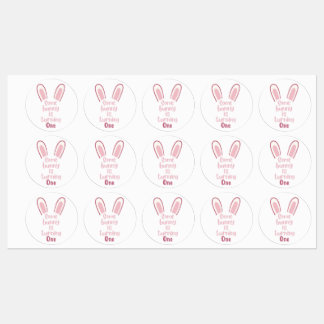 Some bunny is turning one- adhesive stickers 