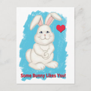 Some Bunny Likes You Valentine Holiday Postcard