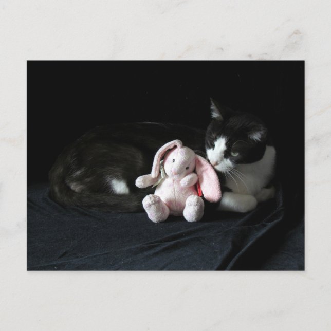 Some Bunny Loves Me Post Card (Front)