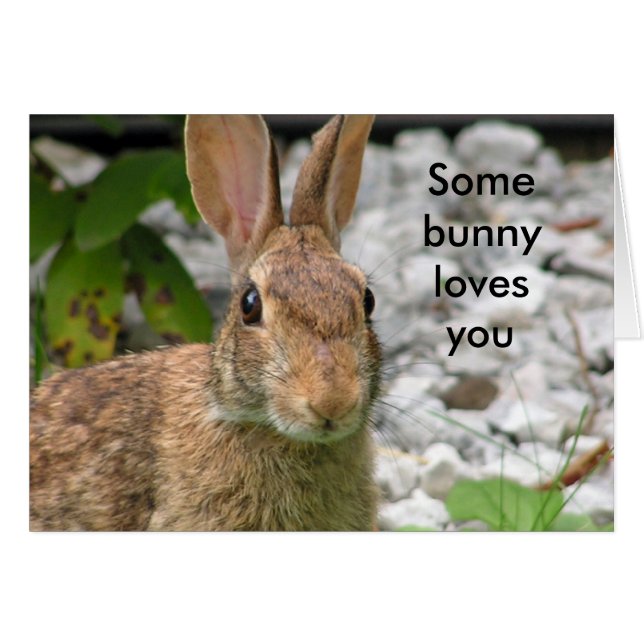 Some bunny loves you (Front Horizontal)
