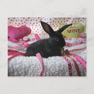 Some Bunny Loves You! Postcard