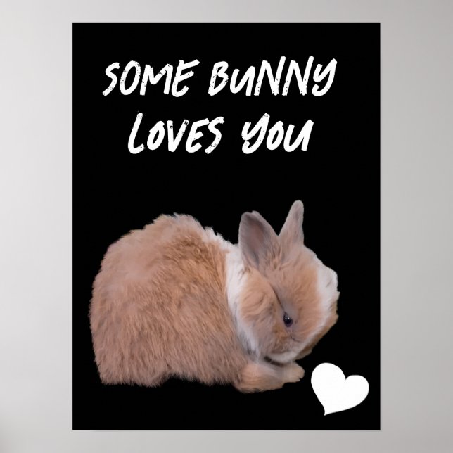 Some Bunny Loves You Poster (Front)