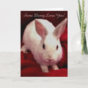 Some Bunny Loves You Valentine's Day Card