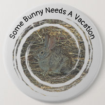 Some Bunny Needs Vacation Small Rabbit Relax