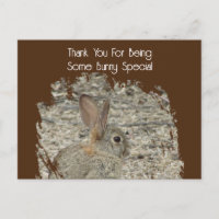 Some Bunny Special Employee Appreciation Workplace