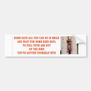 SOME DAYS ALL YOU CAN DO BMPR BUMPER STICKER