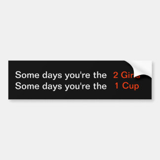 Some days you're the 2 Girls...bumper sticker