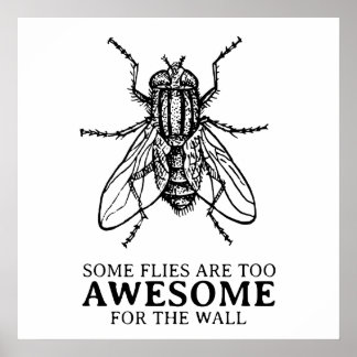 Some Flies Poster
