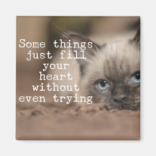 Some Things Just Fill Your Heart Magnet