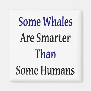 Some Whales Are Smarter Than Some Humans Magnet