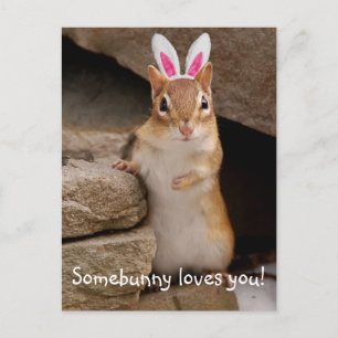 Somebunny Loves You Chipmunk Postcard