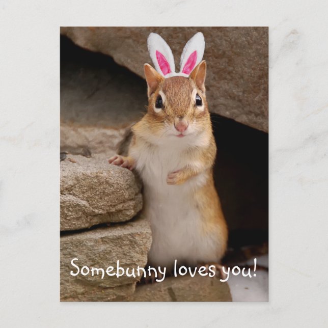 Somebunny Loves You Chipmunk Postcard (Front)