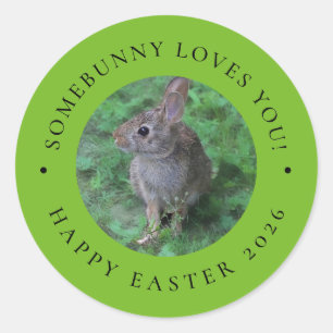 SomeBunny Loves You Valentine's Day Easter Sticker